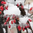 신마산교당-소중하고 아름다운 추억(원기108년) 이미지