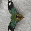 전라남도야생동물구조관리센터 이미지