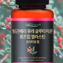 서브네이처