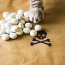 김정호한의원 이미지