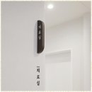 디닷