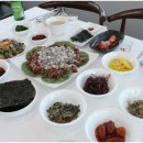 낙지박사 이미지