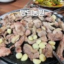 율석농원 | 남양주 오리고기 맛집 애견동반가능 밤듸농원 로스부터 양념, 오리뼈탕까지