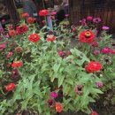 뉴신도공인중개사사무소 이미지