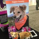 행복한개 이미지