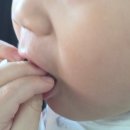 유정원한강오리 | 운양동맛집 가족 보양식으로 완벽했던 유정원한강오리 찐 후기