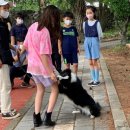 도순초등학교 이미지