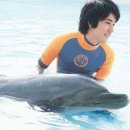 돌핀블루 이미지