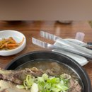 고넉담
