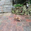 남구-118 이미지