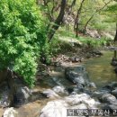 뚜꺼비공인중개사사무소 이미지