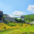 율하천자전거길 이미지