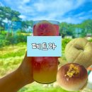 페트라 | 청주 대형카페 베이글 맛집 "페트라" 내돈내산 후기