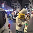 멍타냥 강남 이미지