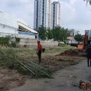 안양천 안양4교 이미지