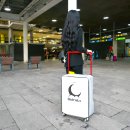 기장 | 유럽여행 캐리어 24인치 수납력 좋은 레하 항공사 기장 추천템 후기