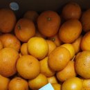 산규농장 이미지