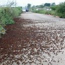 해남PC방 이미지