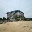 또래오래치킨 도마점 | 아이와 강원도 고성 여행 금강산콘도 추천 (자세한후기)