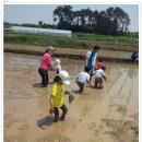 수완농장 이미지