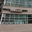 디오 동물병원 | 인천 송도동 동물병원 디오동물병원 진료시간 접근성 이용후기
