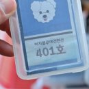 거제비치블루애견펜션 이미지