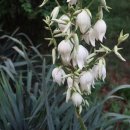 커피향기 이미지