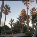 제주 야자원 | 제주 글램핑 숙소 추천 제주야자원 호텔식 내돈내산 찐후기