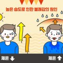 청담포워드피부과의원 네이버블로그