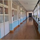 오비초등학교 이미지