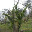 새벽바다 이미지