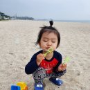 연곡해변솔향기캠핑장