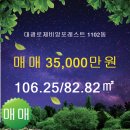대광공인중개사사무소 이미지