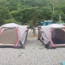 숲이조아캠핑장 이미지