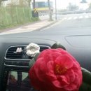 애플노래방 이미지