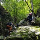 참새미골 이미지