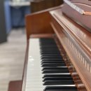 제이엔에스(JNS) 이미지