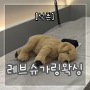 레브슈가링왁싱 네이버블로그