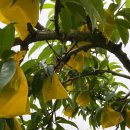 주일농장 이미지