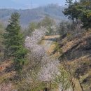 대전둘레산길(5구간) | 대전둘레산길 3번째 - 5구간 계족산성길