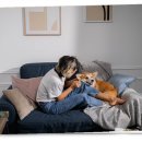 호가정 | 호가정 방문 후기: 한적하고 아름다운 휴양지