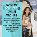 날으는 동물병원 이미지