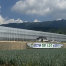 팜스마트 이미지