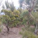 (주)주당 이미지