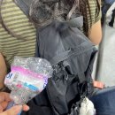 서울 원효로 예수성심당 | 꼬마독수리 이야기