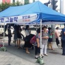 그늘막29 이미지