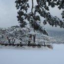 새하얀세상 이미지