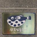 복어랑아구 | [경주 현지인 맛집] 감포일출복어 :: 아구수육 아구탕 내돈내산 후기