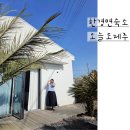 창넓은펜션 | 제주펜션 추천 제주도 한경면 숙소 감성있고 넓은 오늘도제주 스테이오제 ROOM3 실제후기