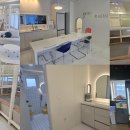 하이라온 이미지